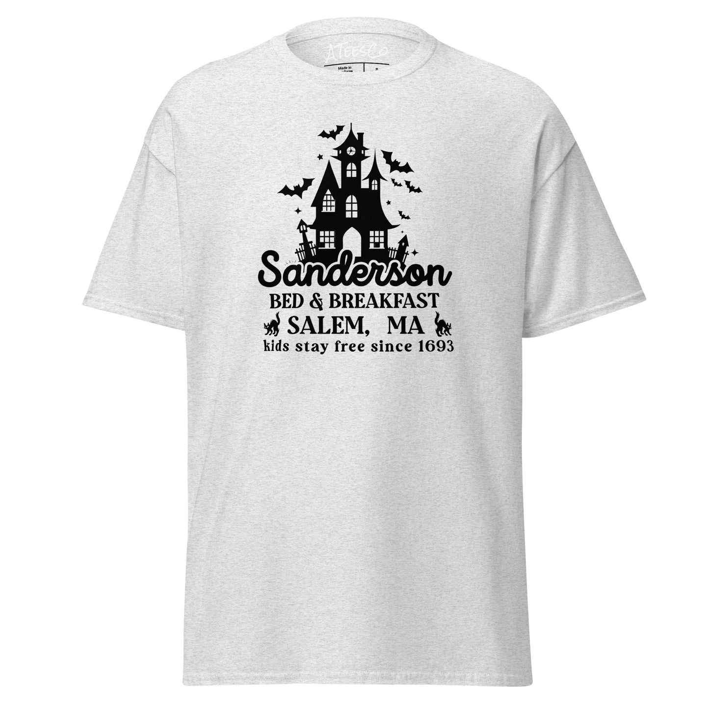 Sanderson Bed & Breakfast Salem MA (Halloween) T-Shirt - Color: Ash