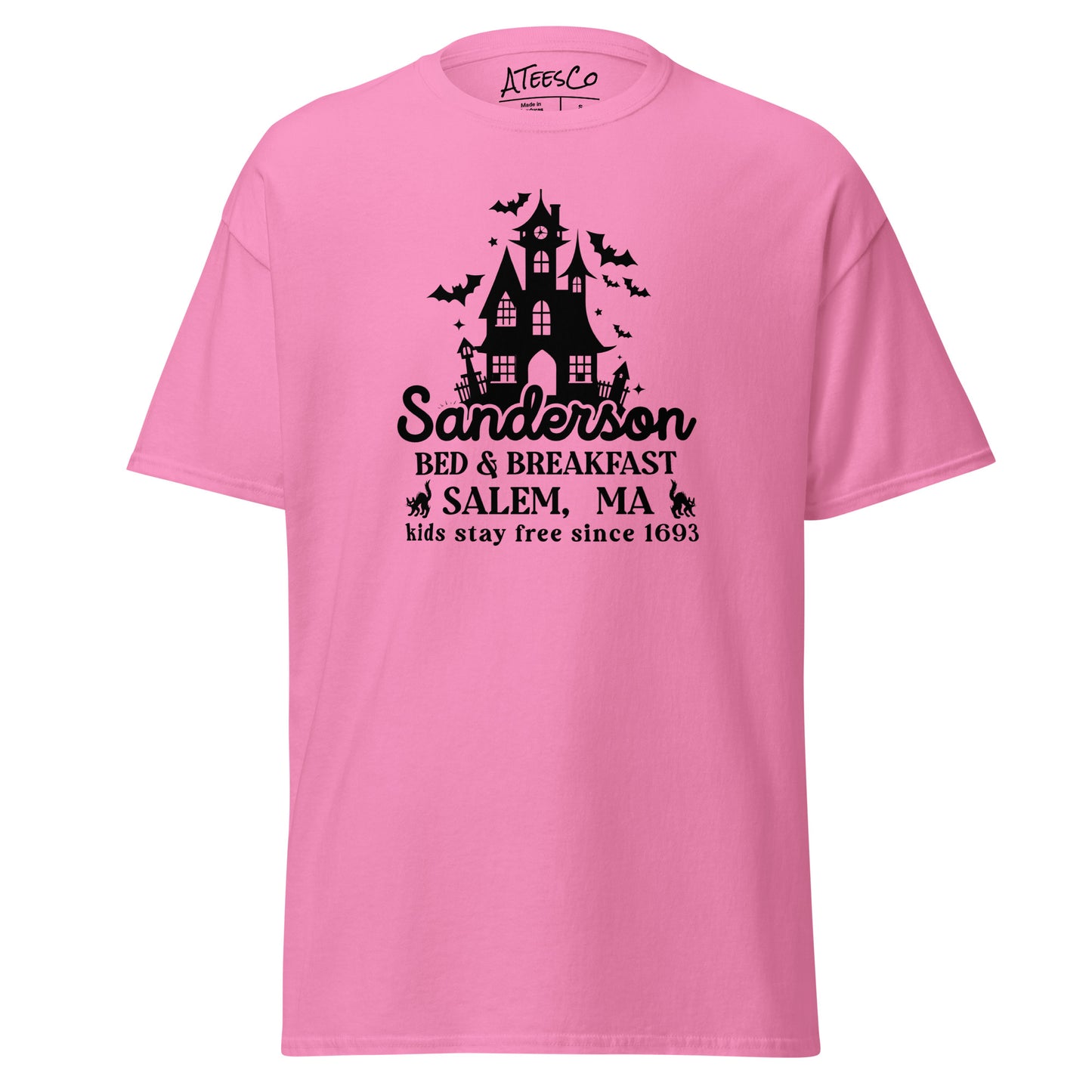 Sanderson Bed & Breakfast Salem MA (Halloween) T-Shirt - Color: Azalea