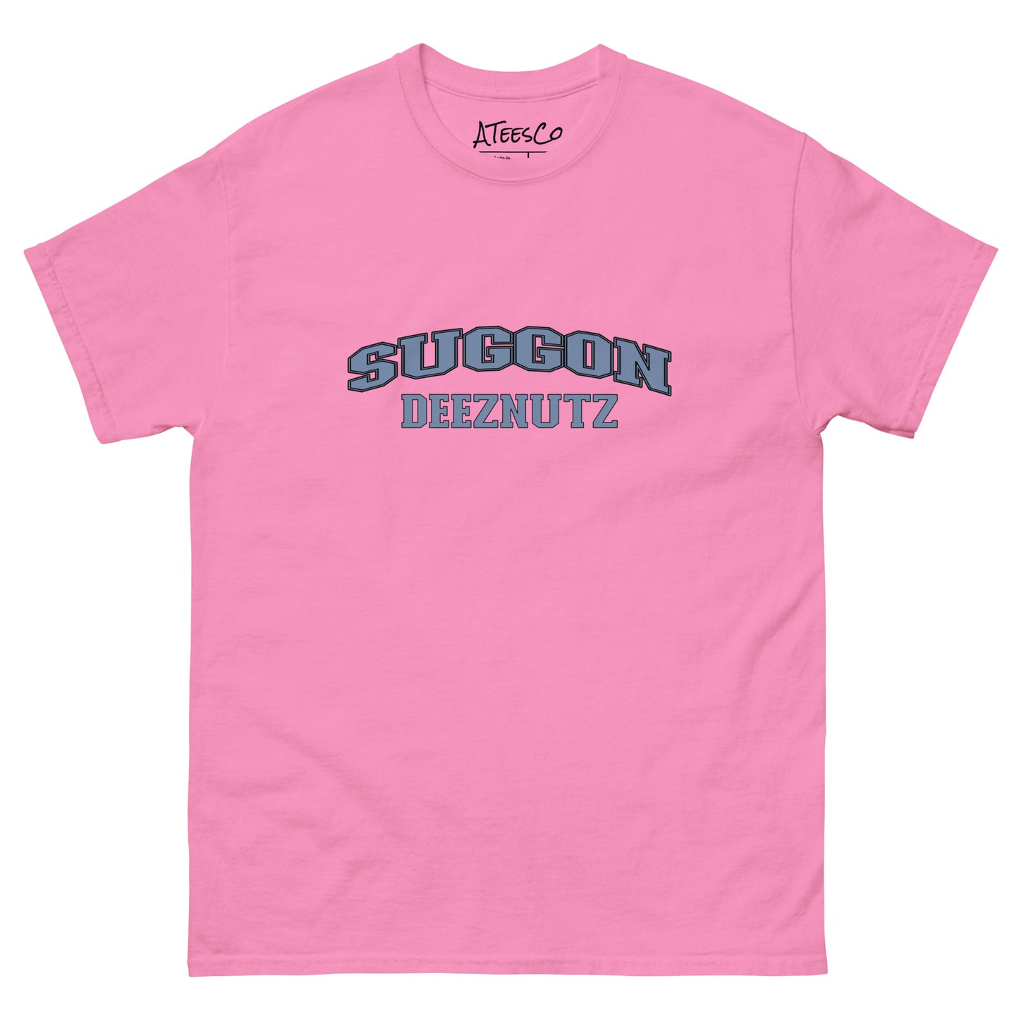 Suggon Deeznutz Graphic Tee Shirt Color: Azalea