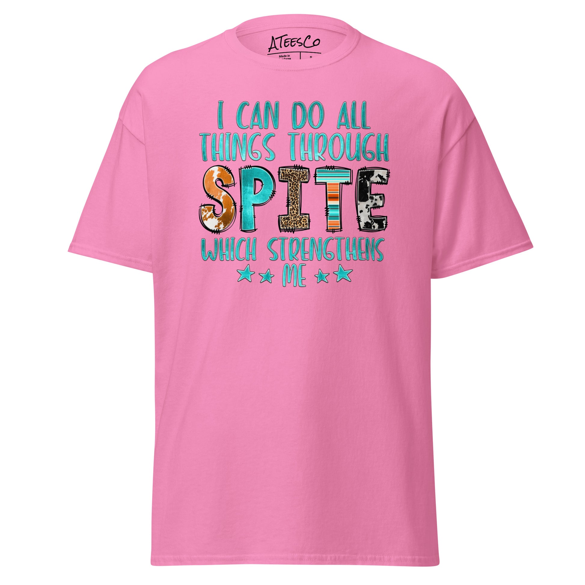 I Can Do All Things Through Spite Which Strengthens Me T-Shirt Color: Azalea