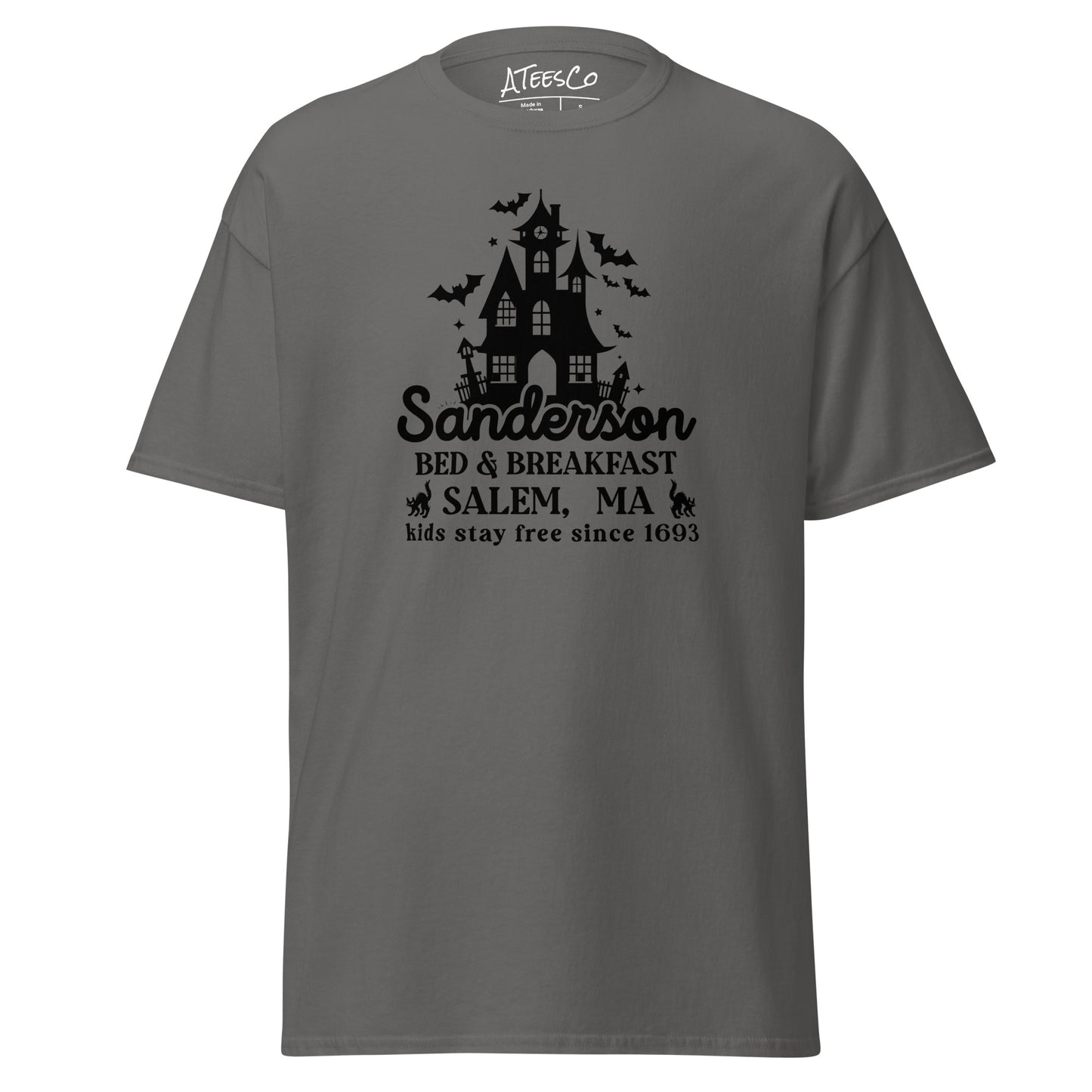 Sanderson Bed & Breakfast Salem MA (Halloween) T-Shirt Color: Charcoal