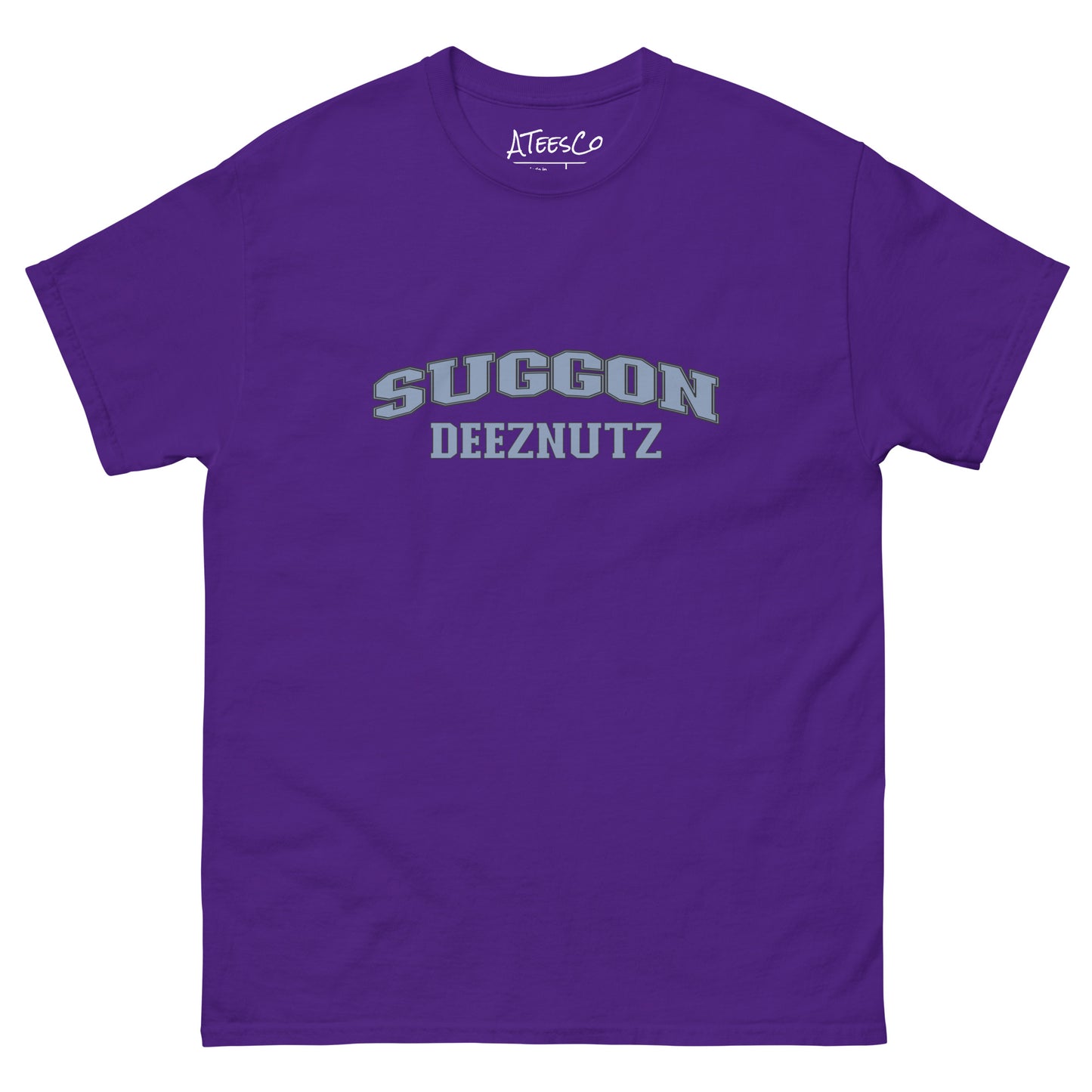 Suggon Deeznutz Graphic Tee Shirt Color: Purple