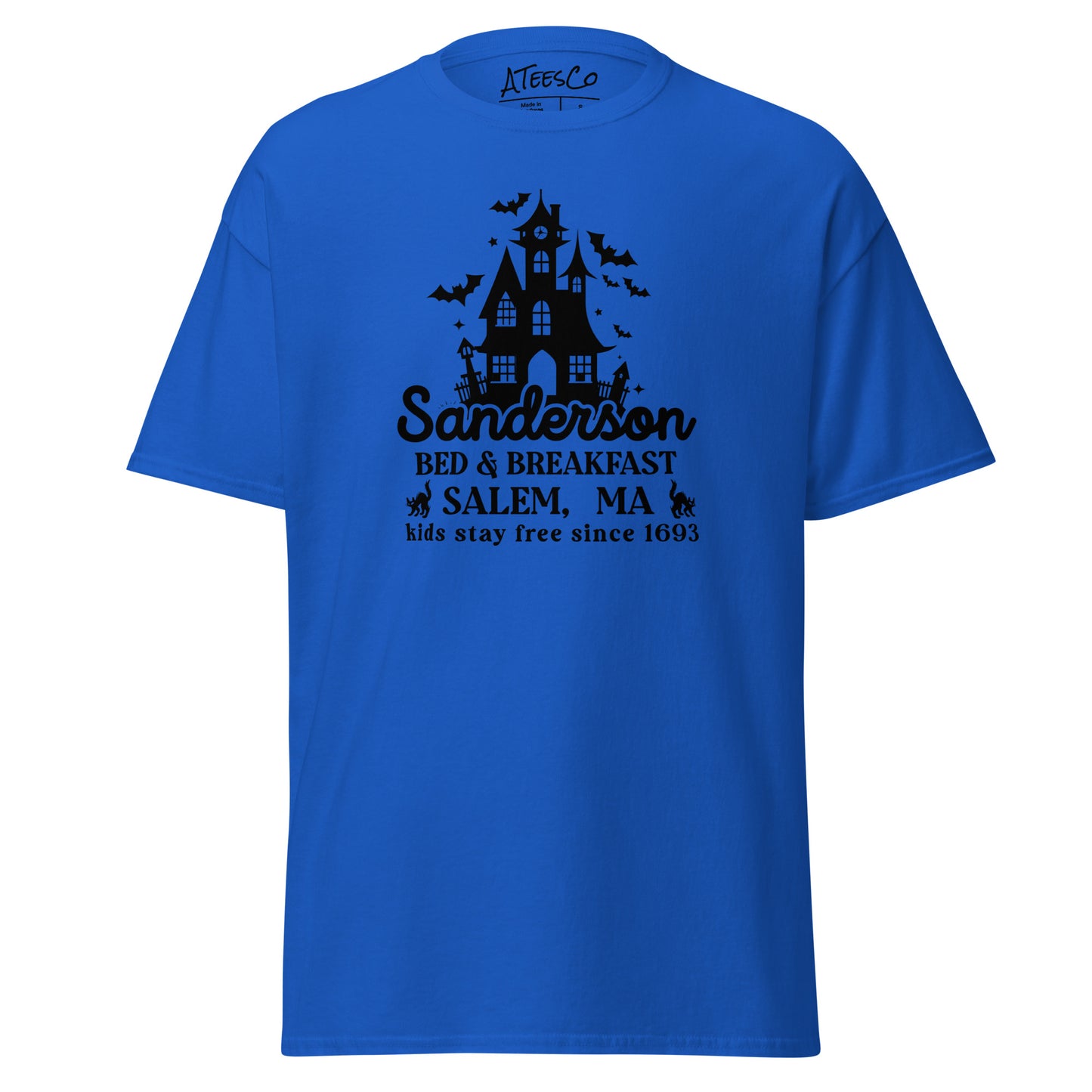 Sanderson Bed & Breakfast Salem MA (Halloween) T-Shirt Color: Royal