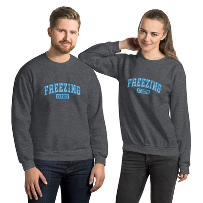 Freezing Season Sweatshirt - Color: Dark Heather