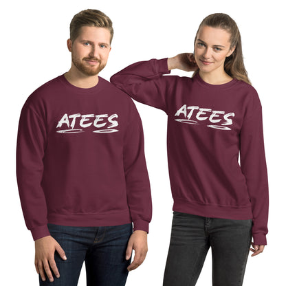 ATeesCo Unisex Sweatshirt - Color: Maroon